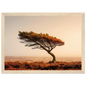 Lone pine on rust moorland, art print in a pale natural wood frame with a wide mount