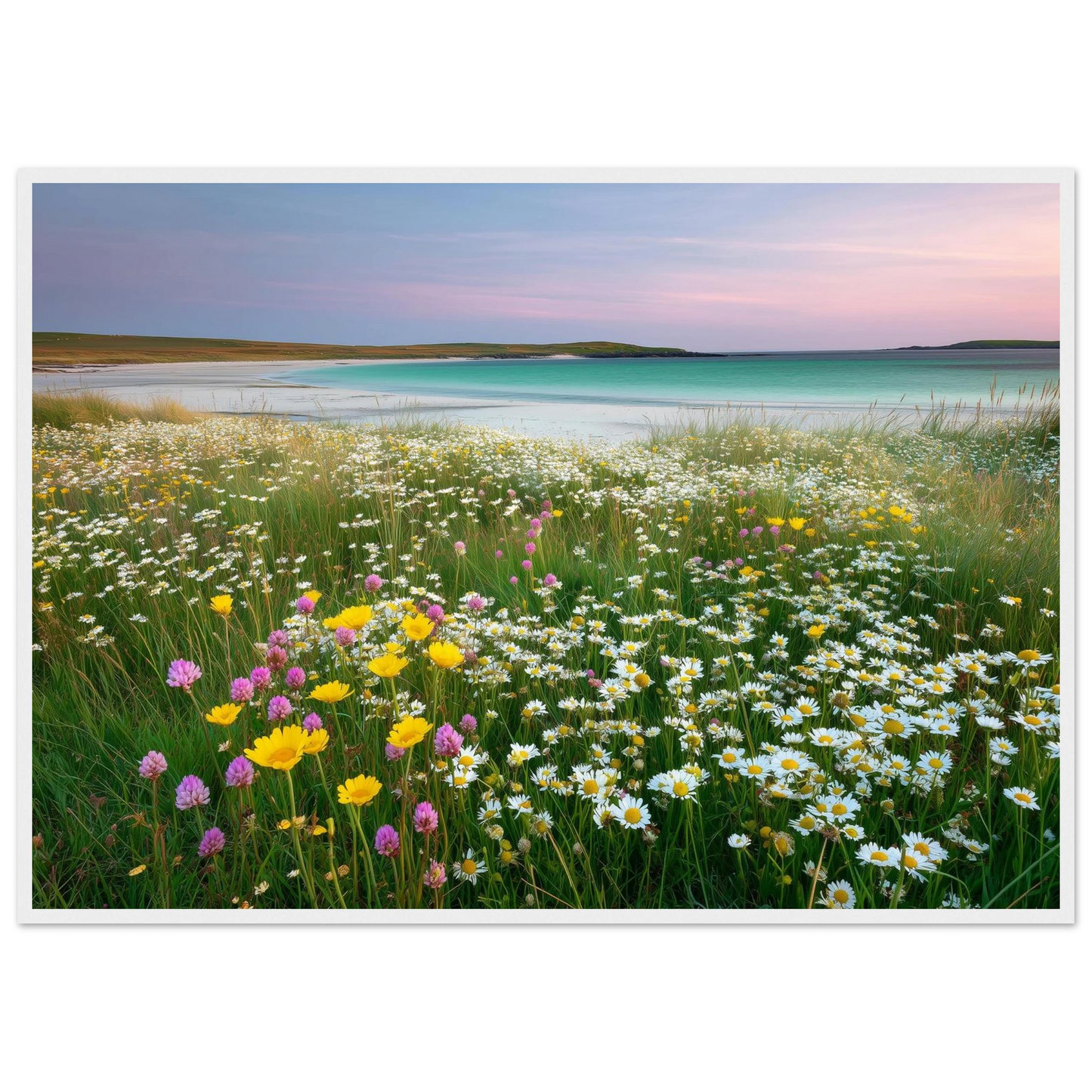 Wildflower machair above a turquoise bay, print in a white frame