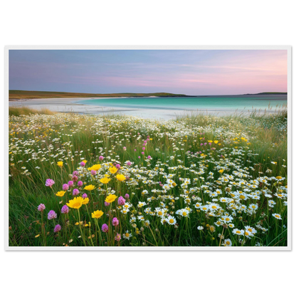 Wildflower machair above a turquoise bay, print in a white frame