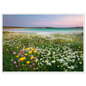 Wildflower machair above a turquoise bay, print in a white frame