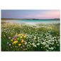 Machair in flower at dusk, framed coastal wall art in dark grey