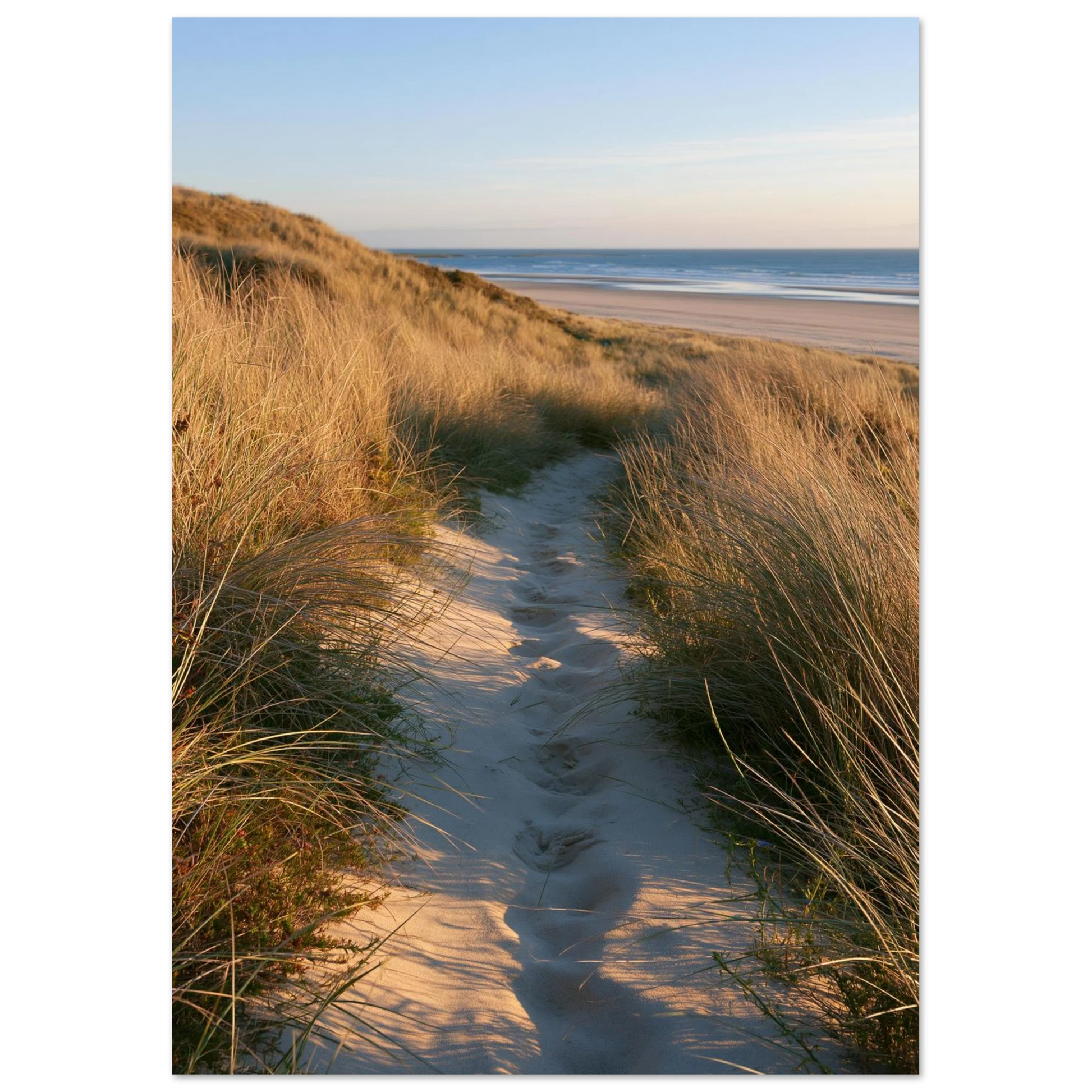Sand track through amber marram grass to an empty beach at golden hour, unframed print
