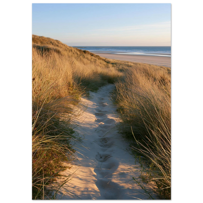 Sand track through amber marram grass to an empty beach at golden hour, unframed print