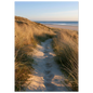 Sand track through amber marram grass to an empty beach at golden hour, unframed print