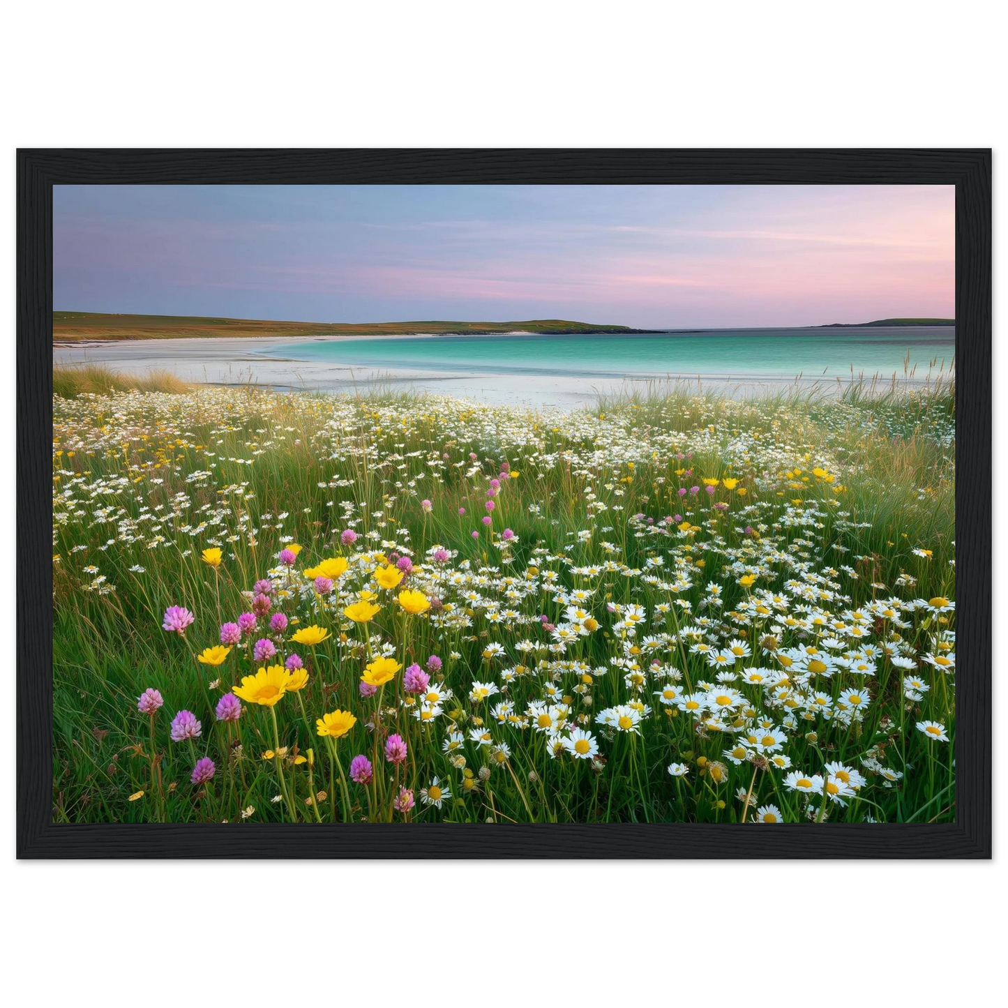 Daisies, clover and turquoise sea, framed wall art in a black frame