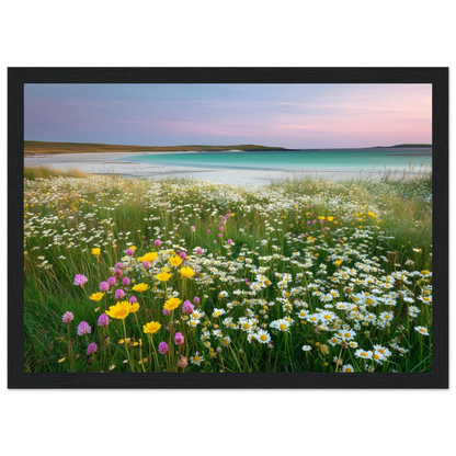 Daisies, clover and turquoise sea, framed wall art in a black frame
