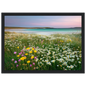 Daisies, clover and turquoise sea, framed wall art in a black frame