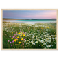 Pastel machair meadow print in a light wood frame