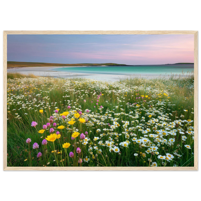 Scottish coastal meadow in flower, framed in pale natural wood