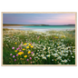 Scottish coastal meadow in flower, framed in pale natural wood