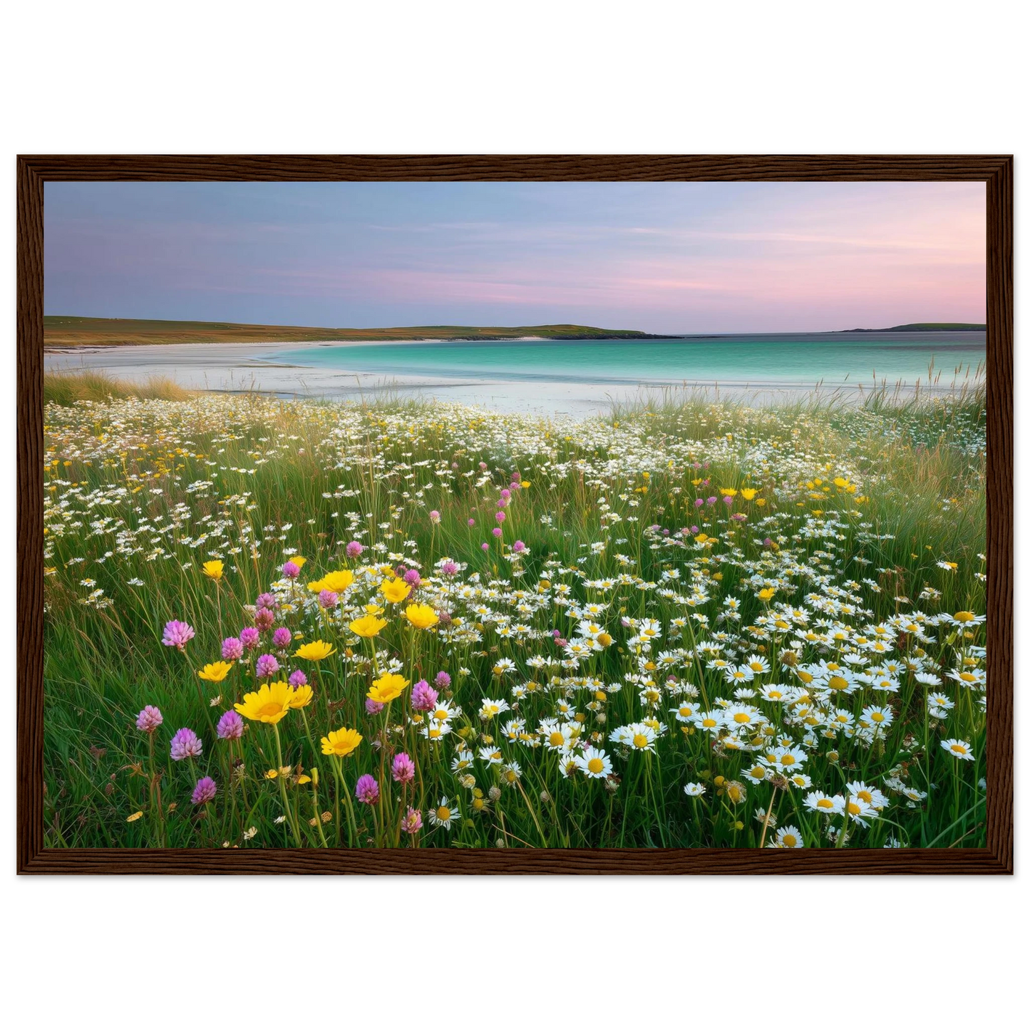 Machair in flower, framed print in a dark brown wood frame