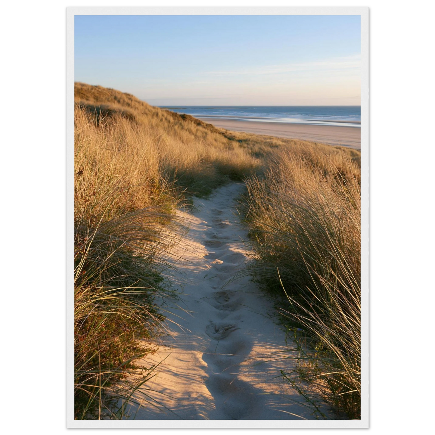 Sand track through amber marram grass to an empty beach at golden hour, print in a white frame