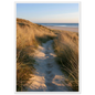 Sand track through amber marram grass to an empty beach at golden hour, print in a white frame