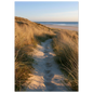 Sand track through amber marram grass to an empty beach at golden hour, unframed print