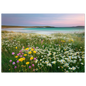 Scottish coastal meadow in flower above turquoise shallows, framed in dark grey
