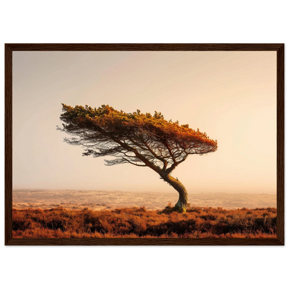 Wind-swept moorland pine, framed in dark red-brown wood