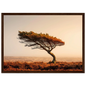 Wind-swept moorland pine, framed in dark red-brown wood