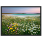 Pastel Scottish meadow and pink evening sky, in a black frame