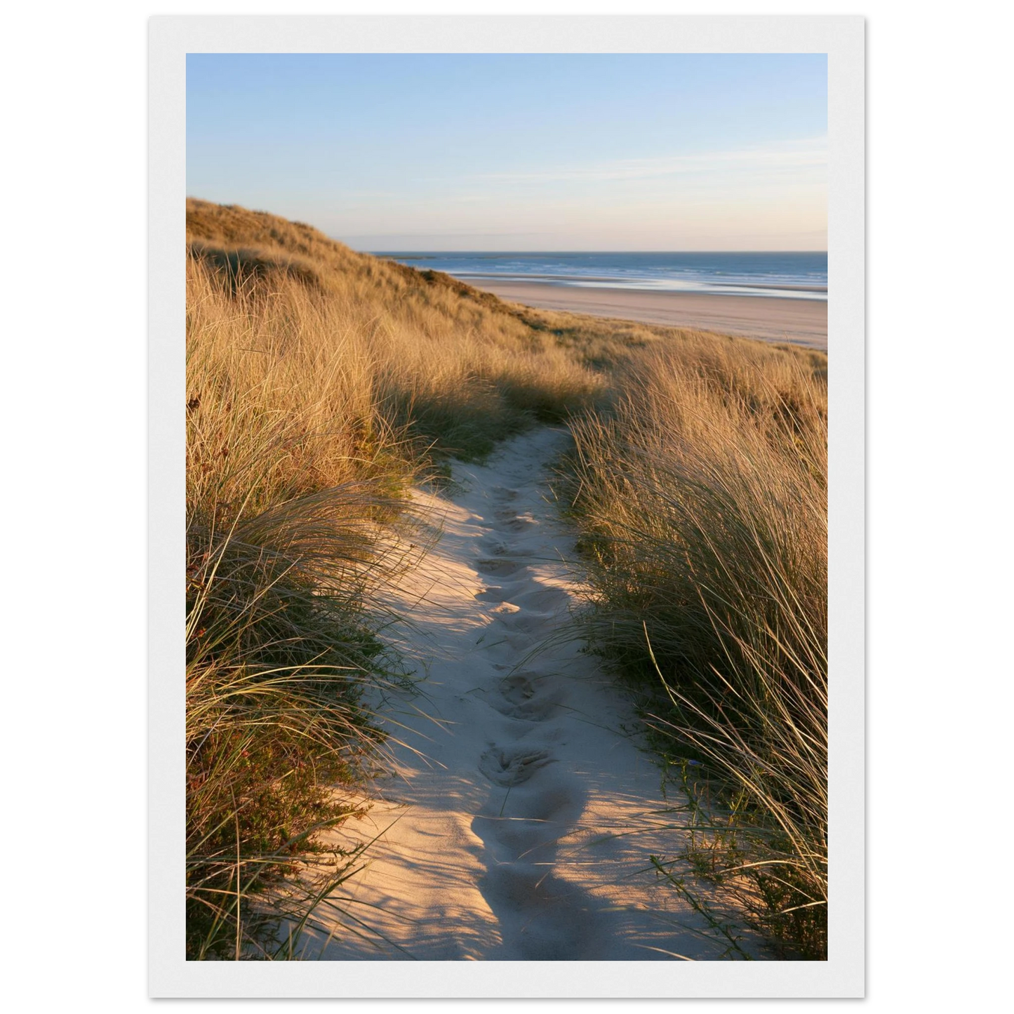 Sand track through amber marram grass to an empty beach at golden hour, print in a white frame