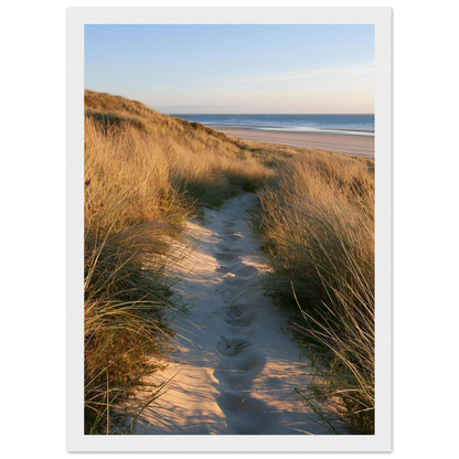 Sand track through amber marram grass to an empty beach at golden hour, print in a white frame