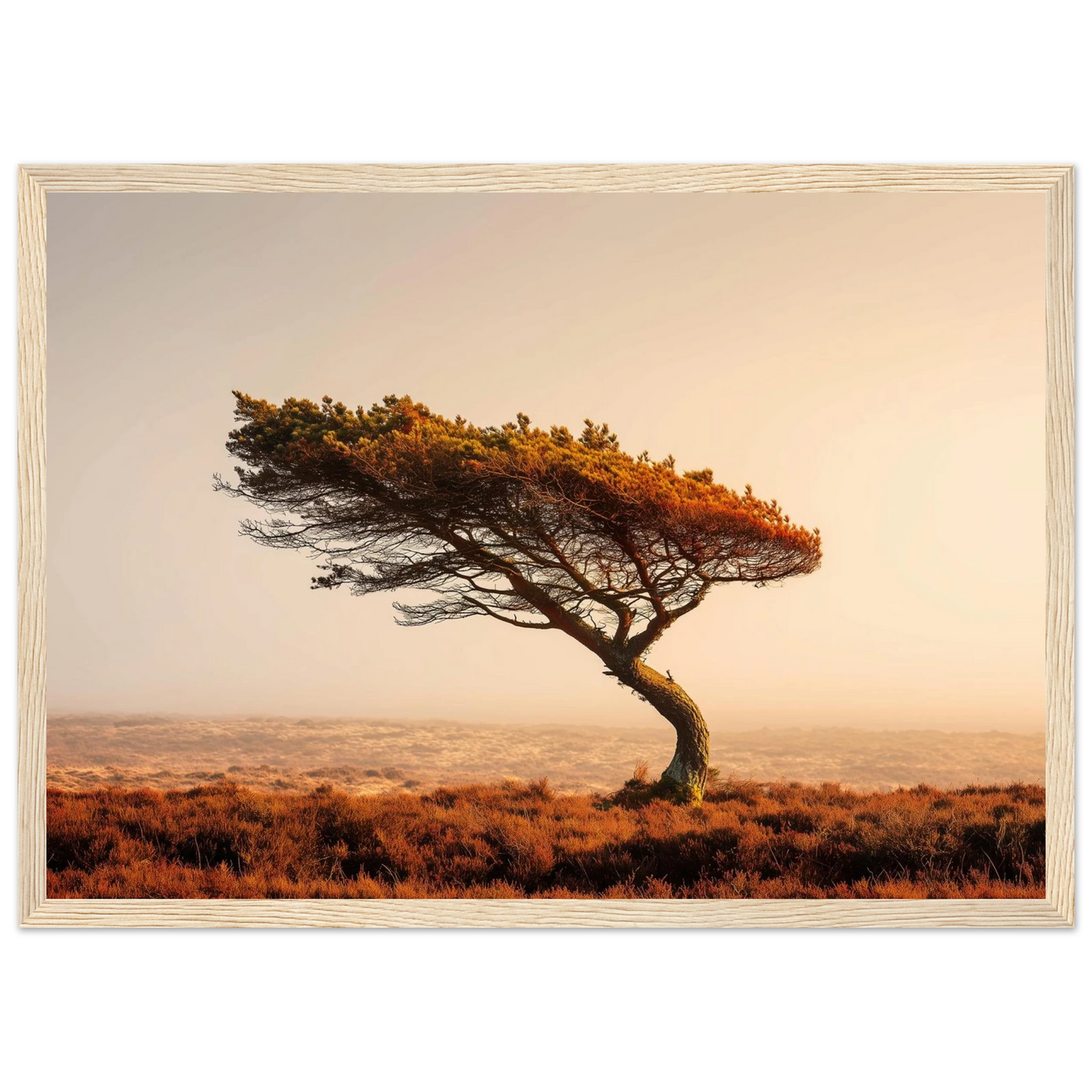 Solitary pine and hazy horizon, print in a pale natural wood frame