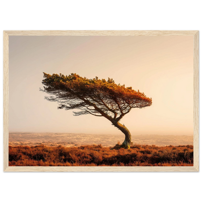 Solitary pine and hazy horizon, print in a pale natural wood frame