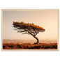 Solitary pine and hazy horizon, print in a pale natural wood frame
