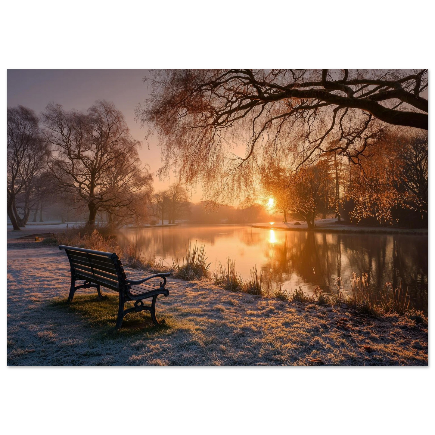 Frosted park lake at winter sunrise with an empty bench on the bank, unframed print