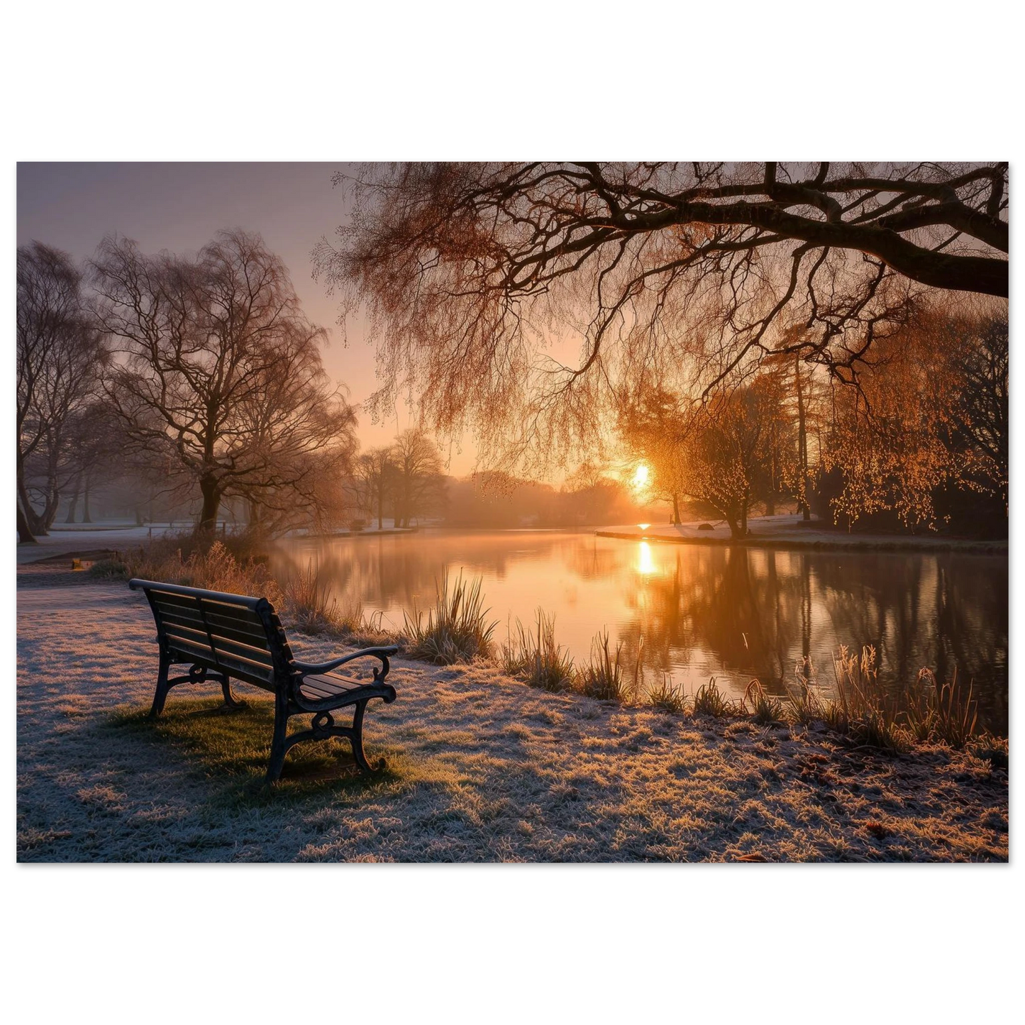 Frosted park lake at winter sunrise with an empty bench on the bank, unframed print