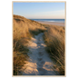 Sand track through amber marram grass to an empty beach at golden hour, print in a natural light wood frame