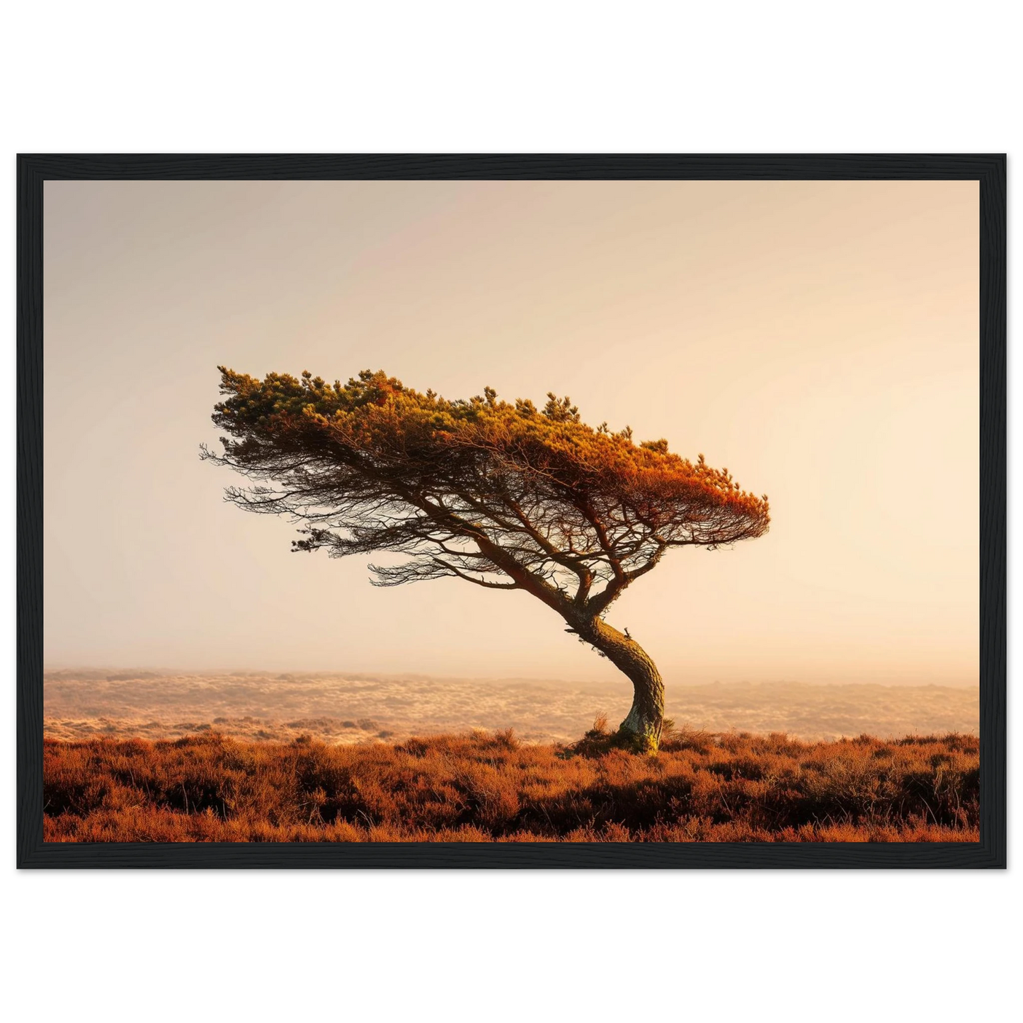 Minimalist wind-bent pine print in a black frame, amber and rust palette