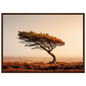 Scottish moorland pine in hazy amber light, framed in dark brown wood