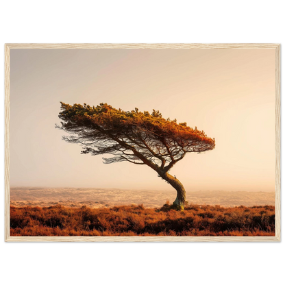 Wind-bent tree on rust-coloured moorland, poster in a pale wood frame