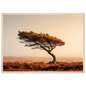 Wind-bent tree on rust-coloured moorland, poster in a pale wood frame