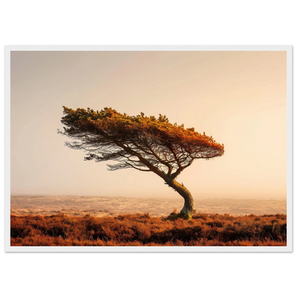 Minimalist moorland tree print in a white frame with a wide mount