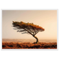 Minimalist moorland tree print in a white frame with a wide mount