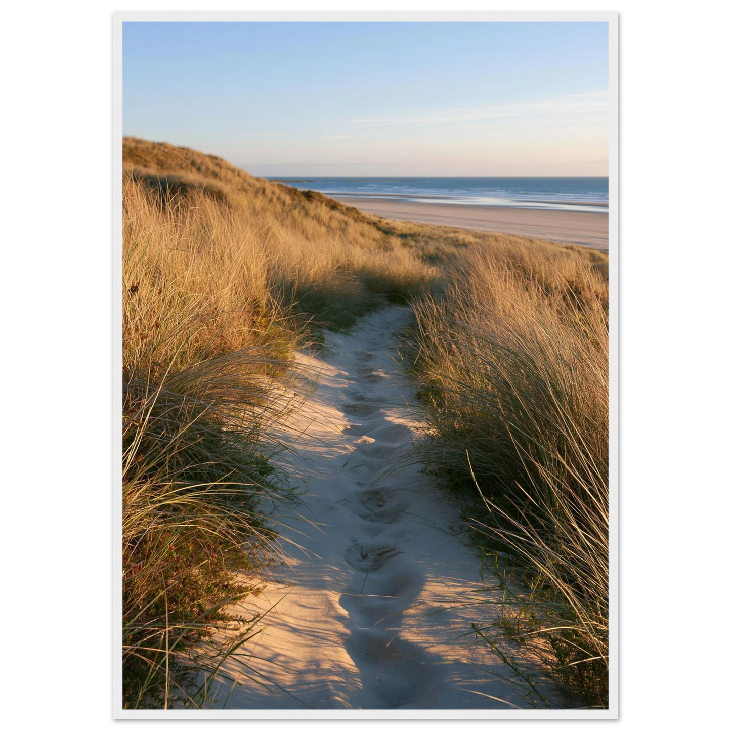 Sand track through amber marram grass to an empty beach at golden hour, print in a white frame