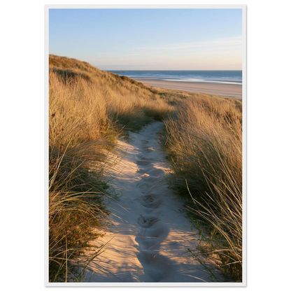 Sand track through amber marram grass to an empty beach at golden hour, print in a white frame