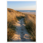Sand track through amber marram grass to an empty beach at golden hour, print in a white frame