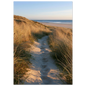 Sand track through amber marram grass to an empty beach at golden hour, unframed print