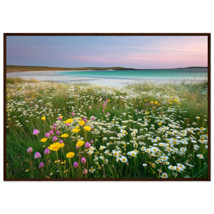 Hebridean meadow of daisies and clover, poster in a warm brown wood frame