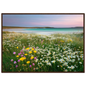 Hebridean meadow of daisies and clover, poster in a warm brown wood frame