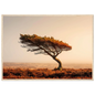 Minimalist lone tree landscape in a light oak frame, amber and rust tones