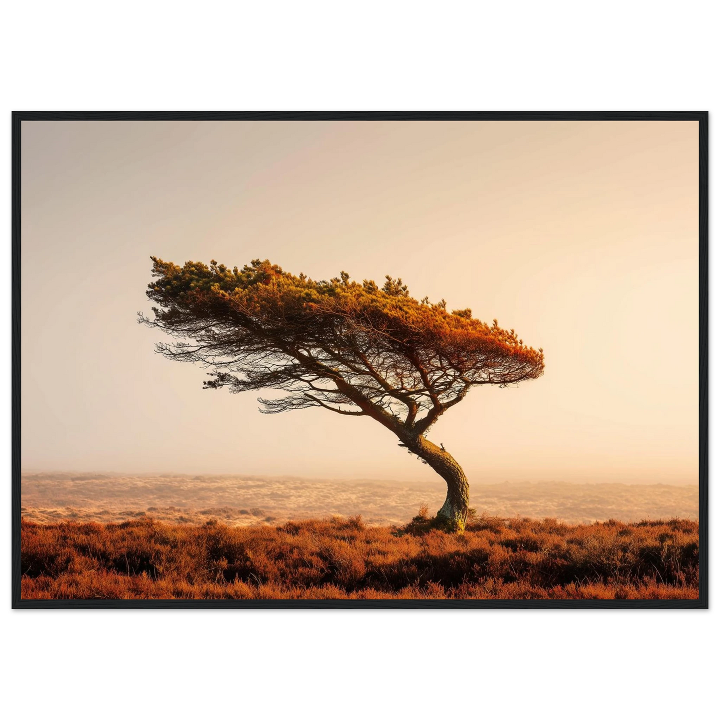 Minimalist Scottish moor and lone tree, in a dark grey frame