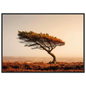 Minimalist Scottish moor and lone tree, in a dark grey frame