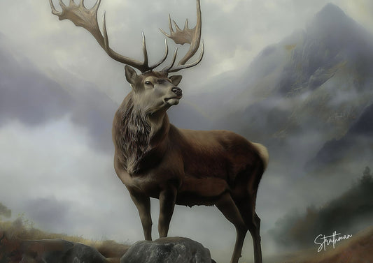A Monarch Stag in the Scottish Highlands