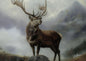A Monarch Stag in the Scottish Highlands