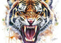 Snarling Tiger Watercolor