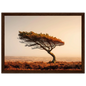 Wind-swept pine on heather moor in a wide dark walnut frame