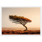 Lone tree on rust heather moor in a white frame